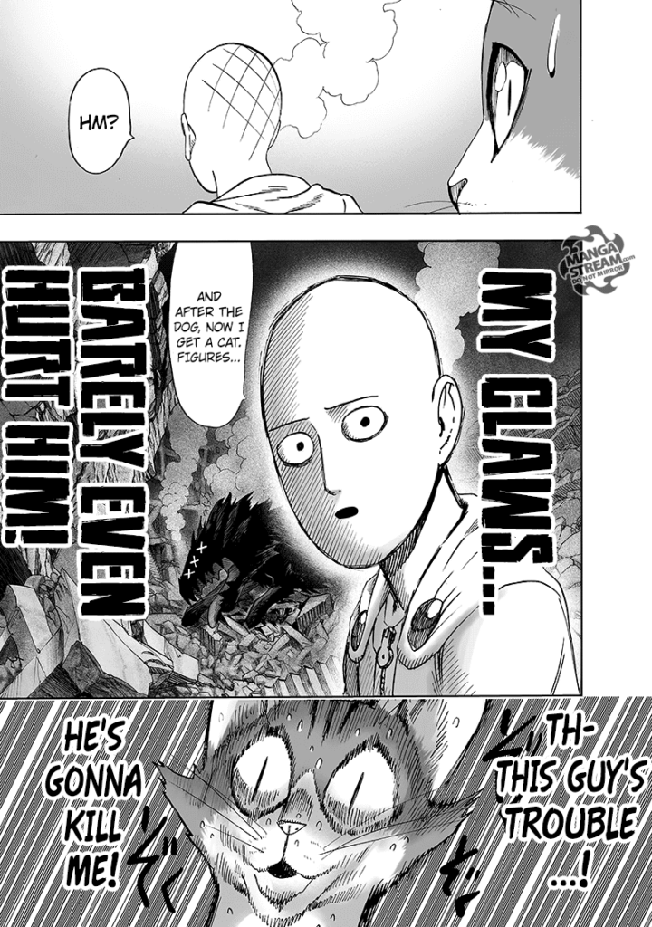 Saitama turns around and sees a cat that now looks very afraid. Rover lies unconscious on the rubble.
