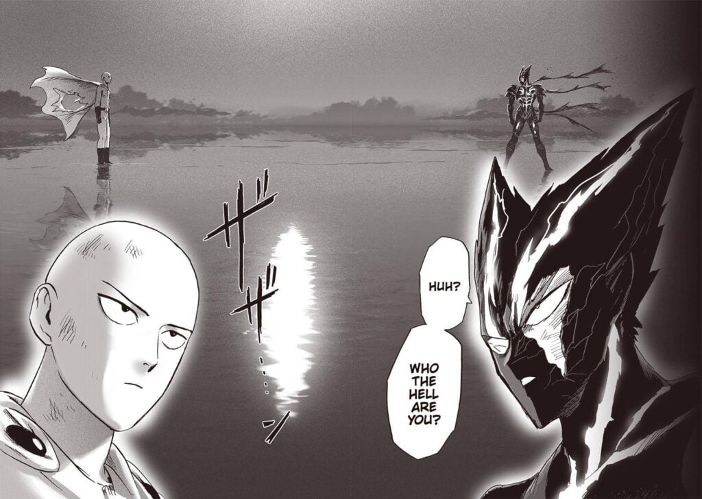 Saitama and Garou stand face to face.