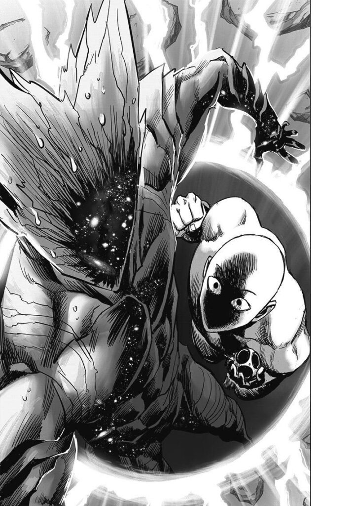 Saitama suddenly appears from inside Garou's hyperspace gate. He prepares to punch Garou.