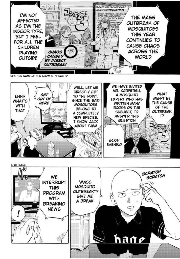 Saitama scratches his head while watching the news about mass mosquito outbreak.