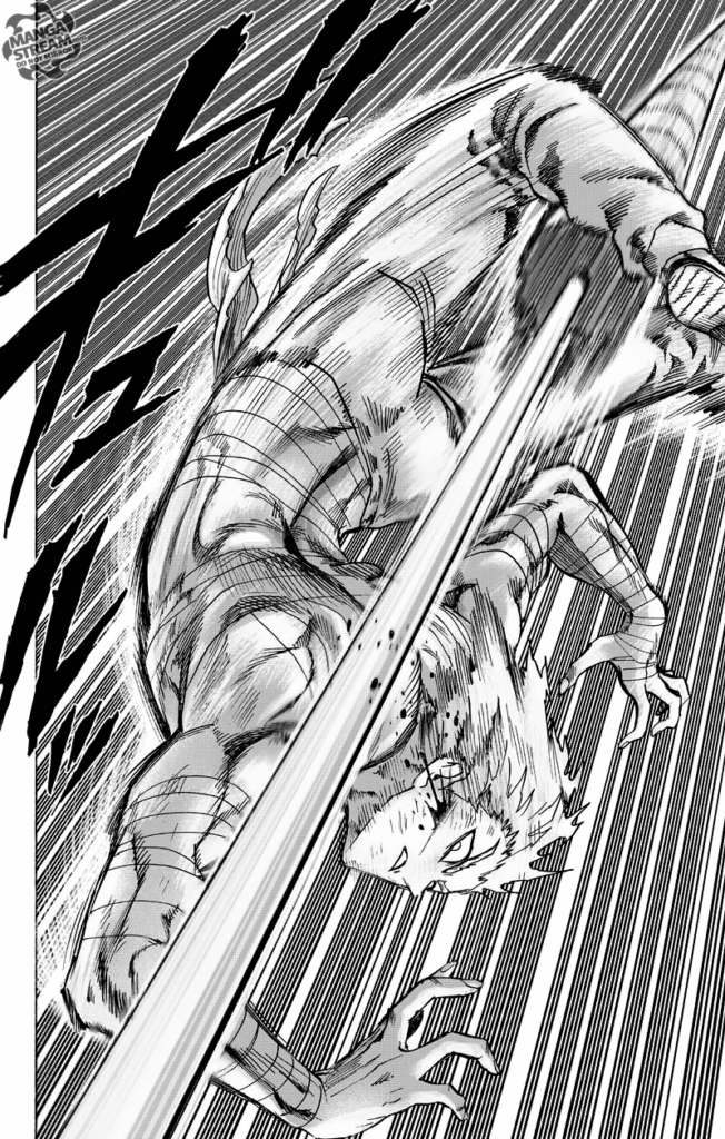 Garou flips, twists his body, and dodges the pointed spear that gazes at his cheek.